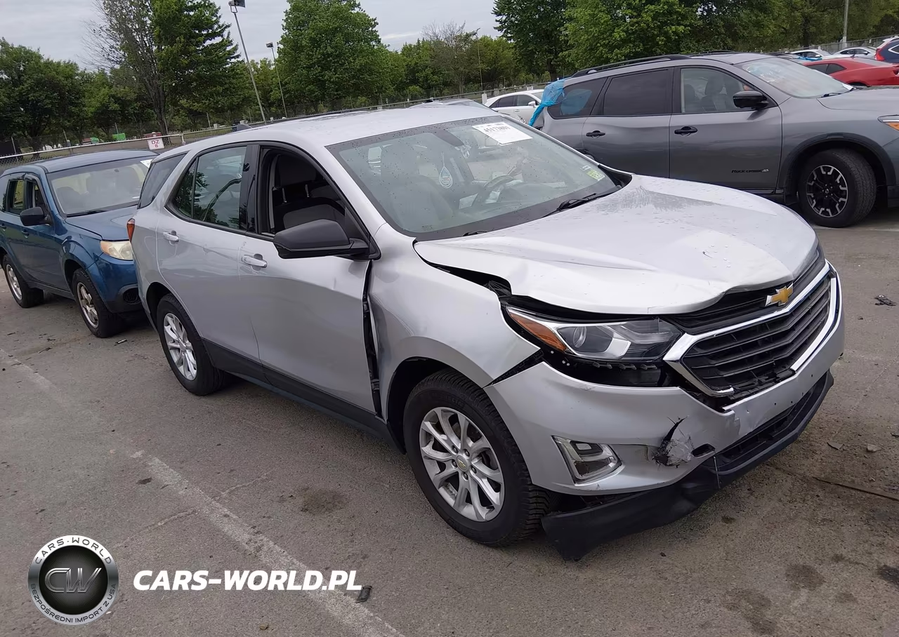 2019 Chevrolet Equinox Ls – zdjęcie 1 z 16