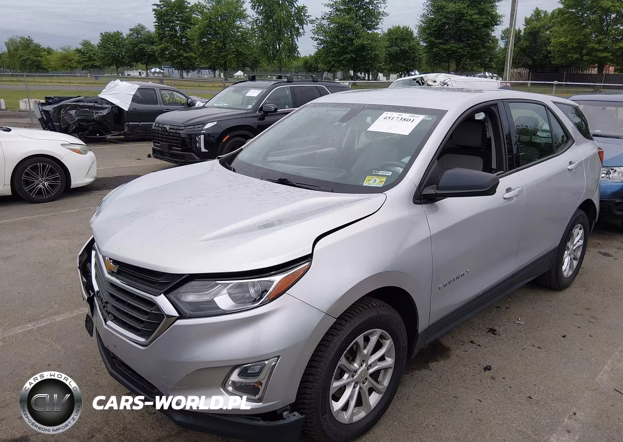 2019 Chevrolet Equinox Ls VIN:2GNAXSEV7K6243905 - 2