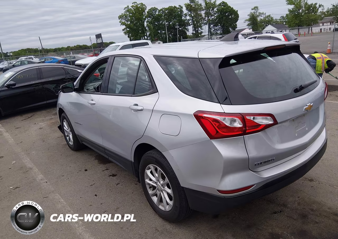 2019 Chevrolet Equinox Ls VIN:2GNAXSEV7K6243905 - 3