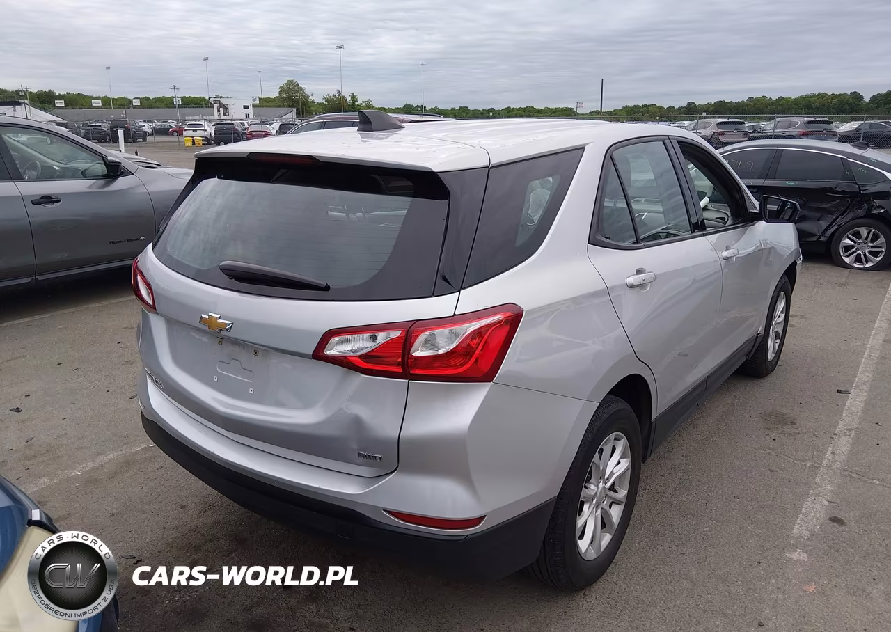 2019 Chevrolet Equinox Ls VIN:2GNAXSEV7K6243905 - 4
