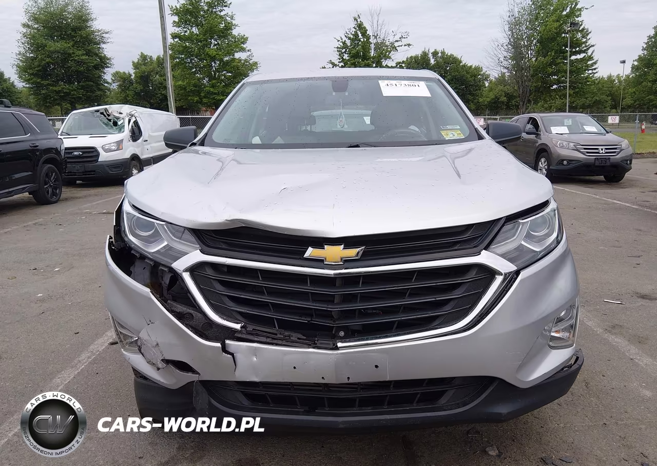 2019 Chevrolet Equinox Ls VIN:2GNAXSEV7K6243905 - 6