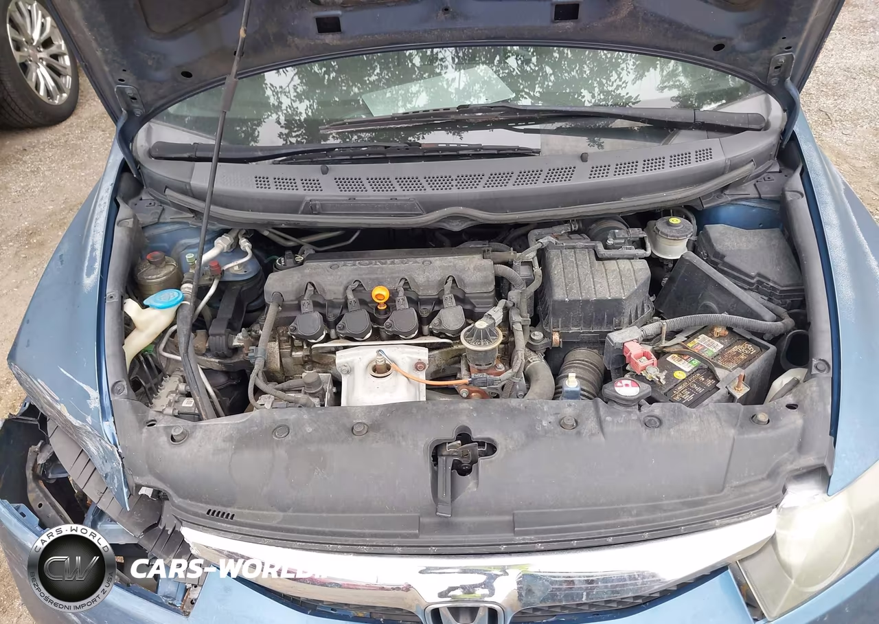 2010 Honda Civic Lx VIN:19XFA1F5XAE005294 - 10