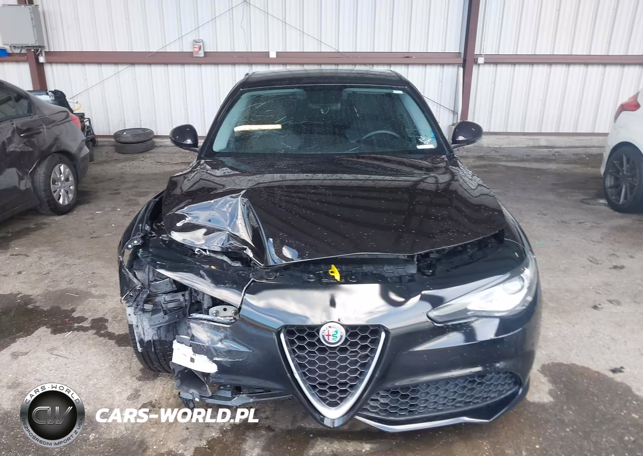 2017 Alfa Romeo Giulia Rwd VIN:ZARFAEBN6H7540278 - 11