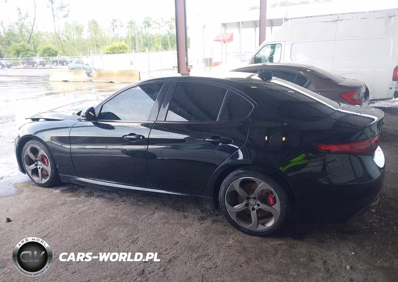 2017 Alfa Romeo Giulia Rwd VIN:ZARFAEBN6H7540278 - 13