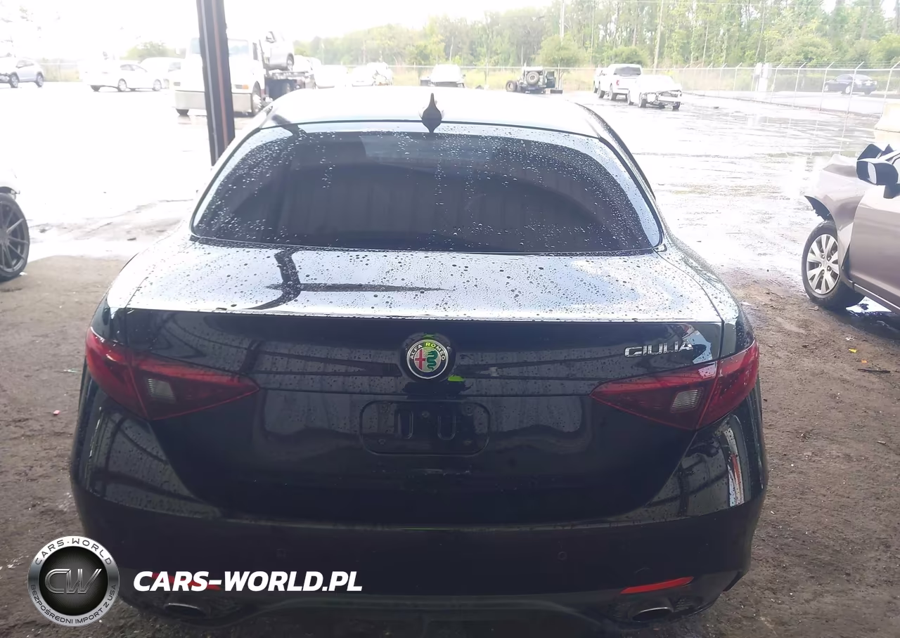 2017 Alfa Romeo Giulia Rwd VIN:ZARFAEBN6H7540278 - 15
