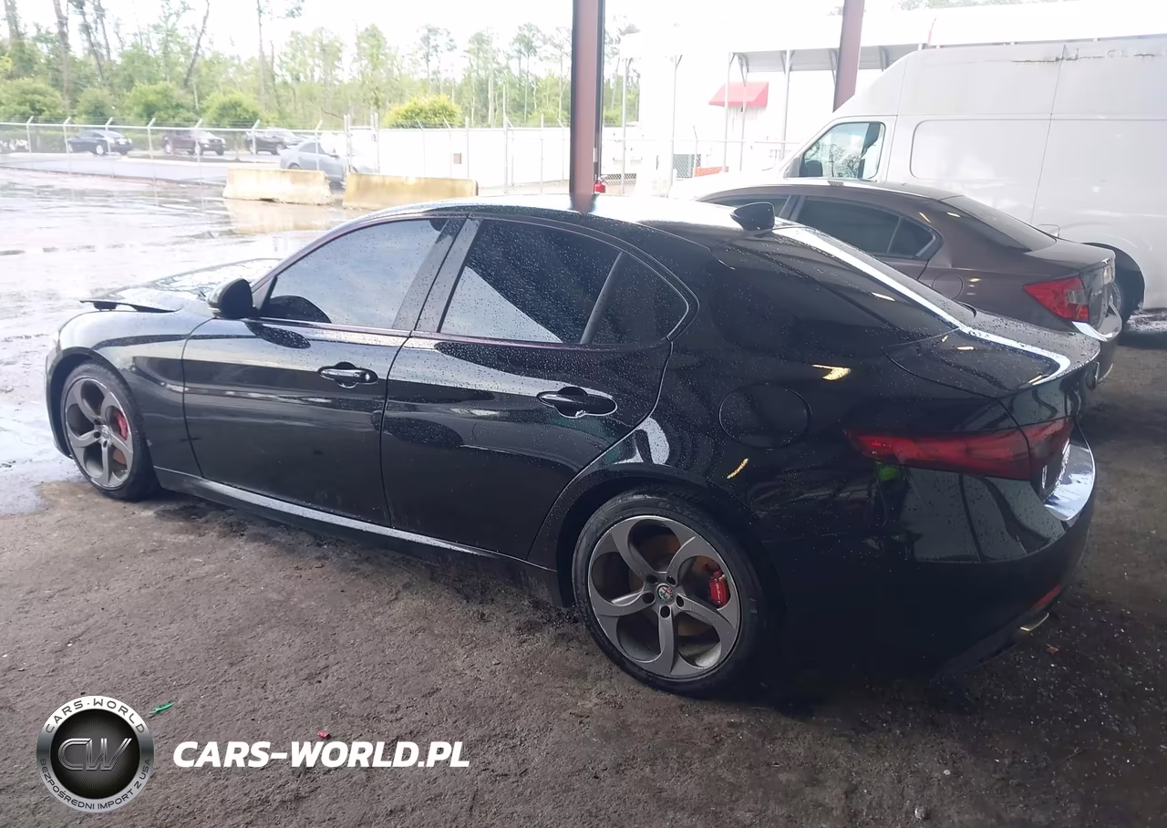 2017 Alfa Romeo Giulia Rwd VIN:ZARFAEBN6H7540278 - 3