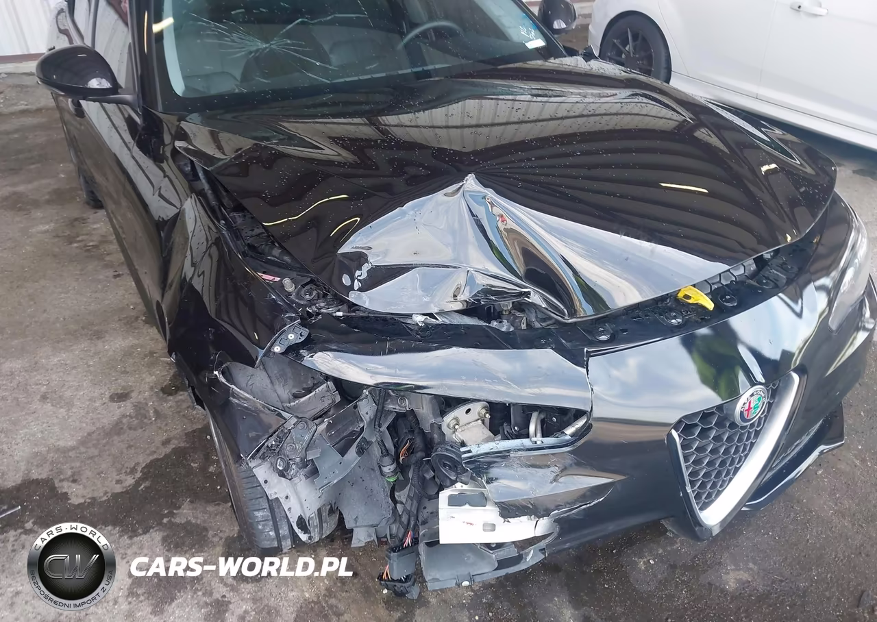 2017 Alfa Romeo Giulia Rwd VIN:ZARFAEBN6H7540278 - 6