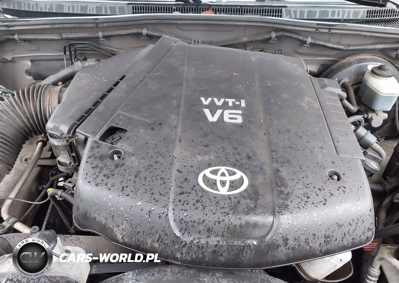 2008 Toyota Tacoma Base V6 VIN:5TEUU42NX8Z552252 - 10