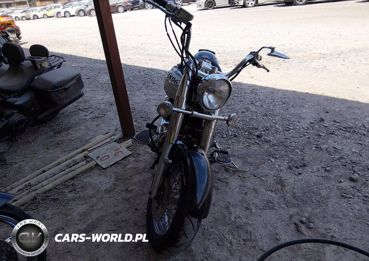 2007 Yamaha Xvs650 VIN:JYAVM01E17A106199 - 5