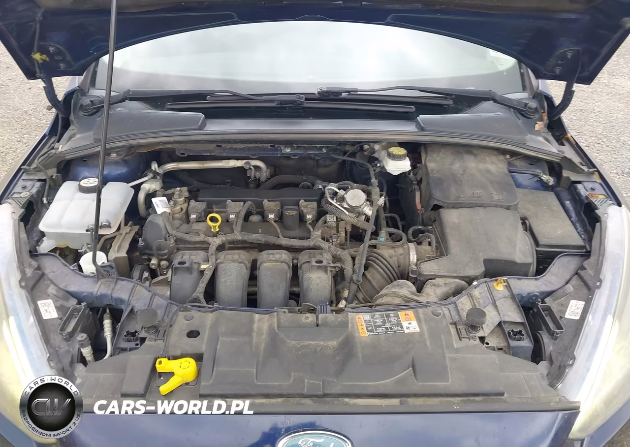 2017 Ford Focus Sel VIN:1FADP3H23HL345964 - 10