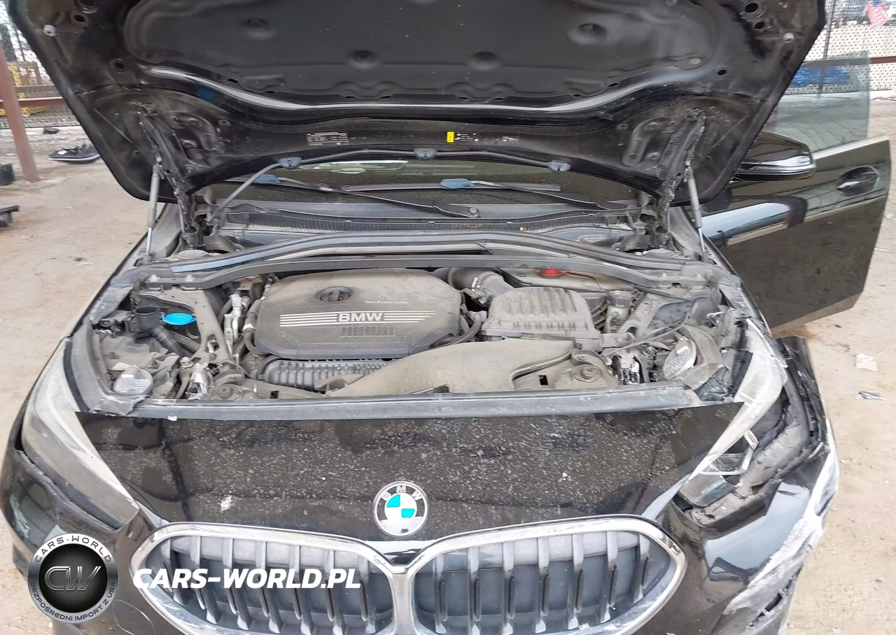2021 BMW 228I Gran Coupe Sdrive VIN:WBA53AK05M7H95589 - 10