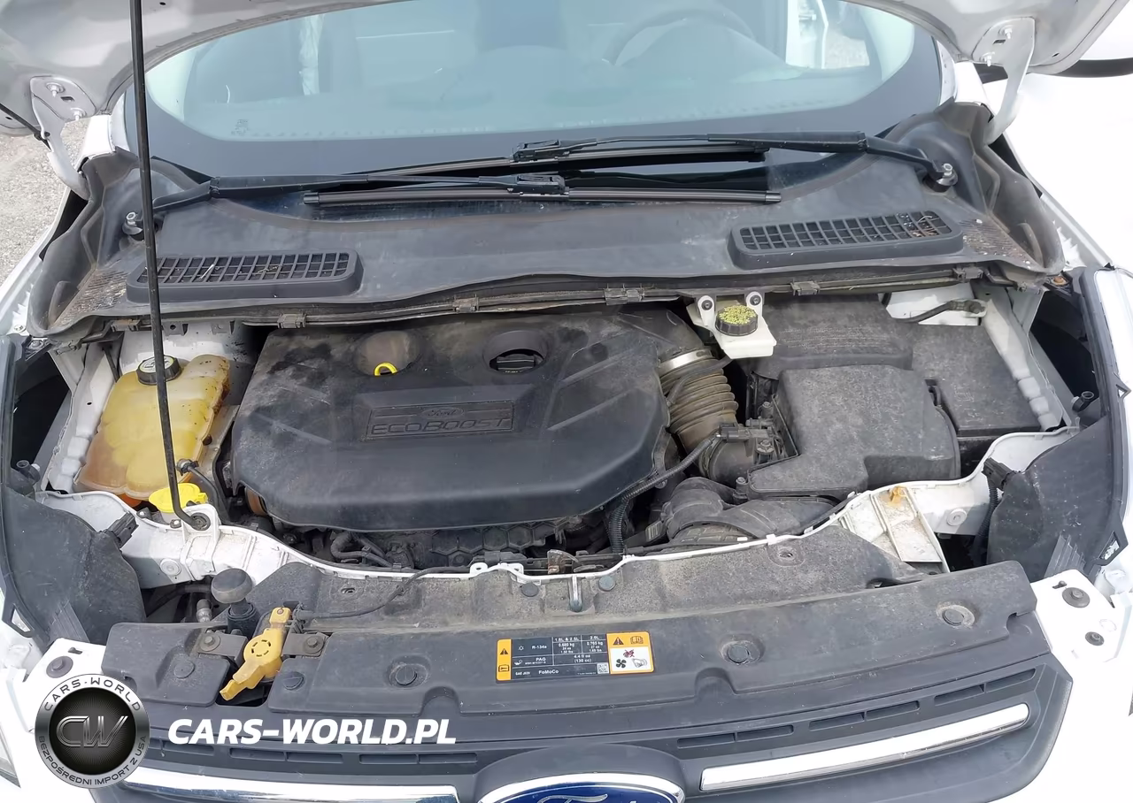 2013 Ford Escape Se VIN:1FMCU0G9XDUC60602 - 10