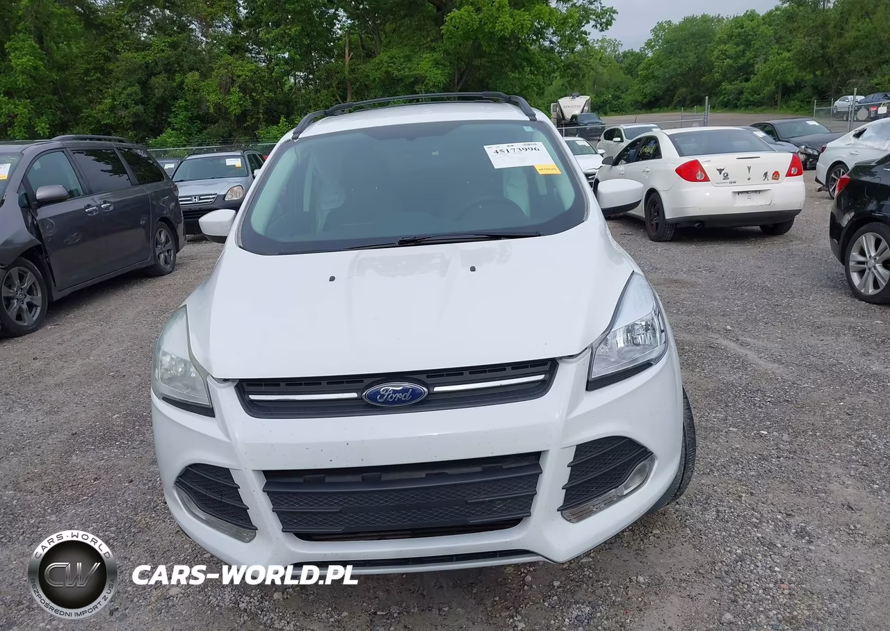 2013 Ford Escape Se VIN:1FMCU0G9XDUC60602 - 12