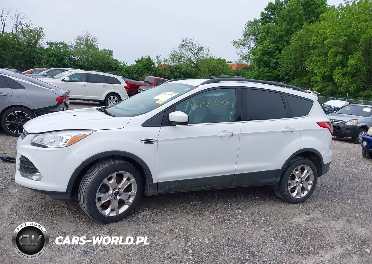 2013 Ford Escape Se VIN:1FMCU0G9XDUC60602 - 14