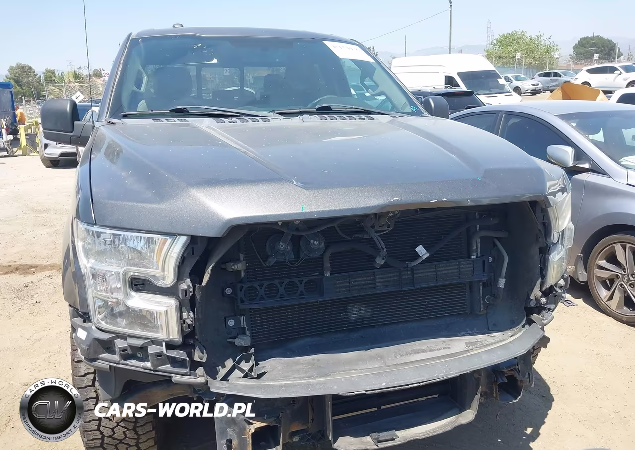 2016 Ford F-150 Xlt VIN:1FTEX1CP3GKG01904 - 12