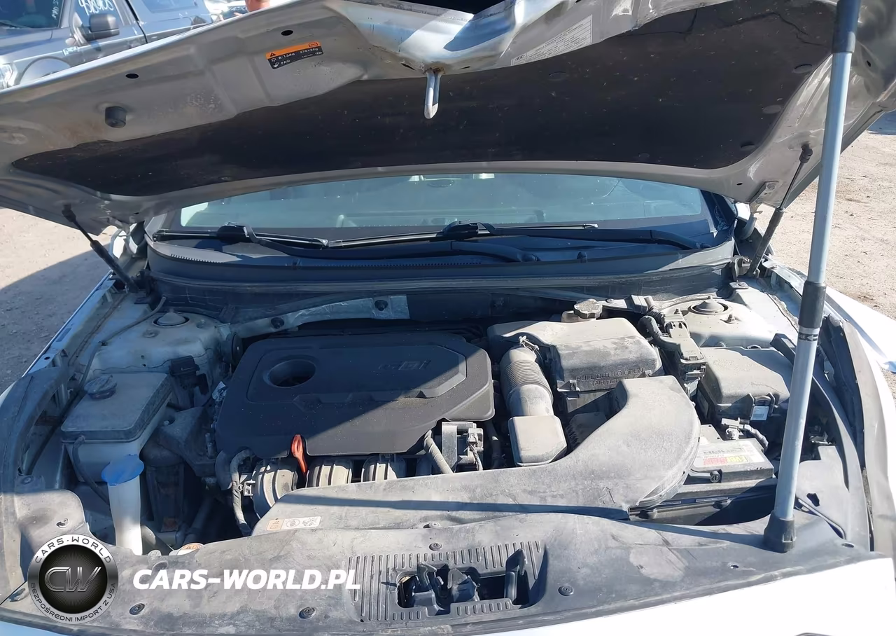 2016 Hyundai Sonata Sport VIN:5NPE34AF8GH434171 - 10