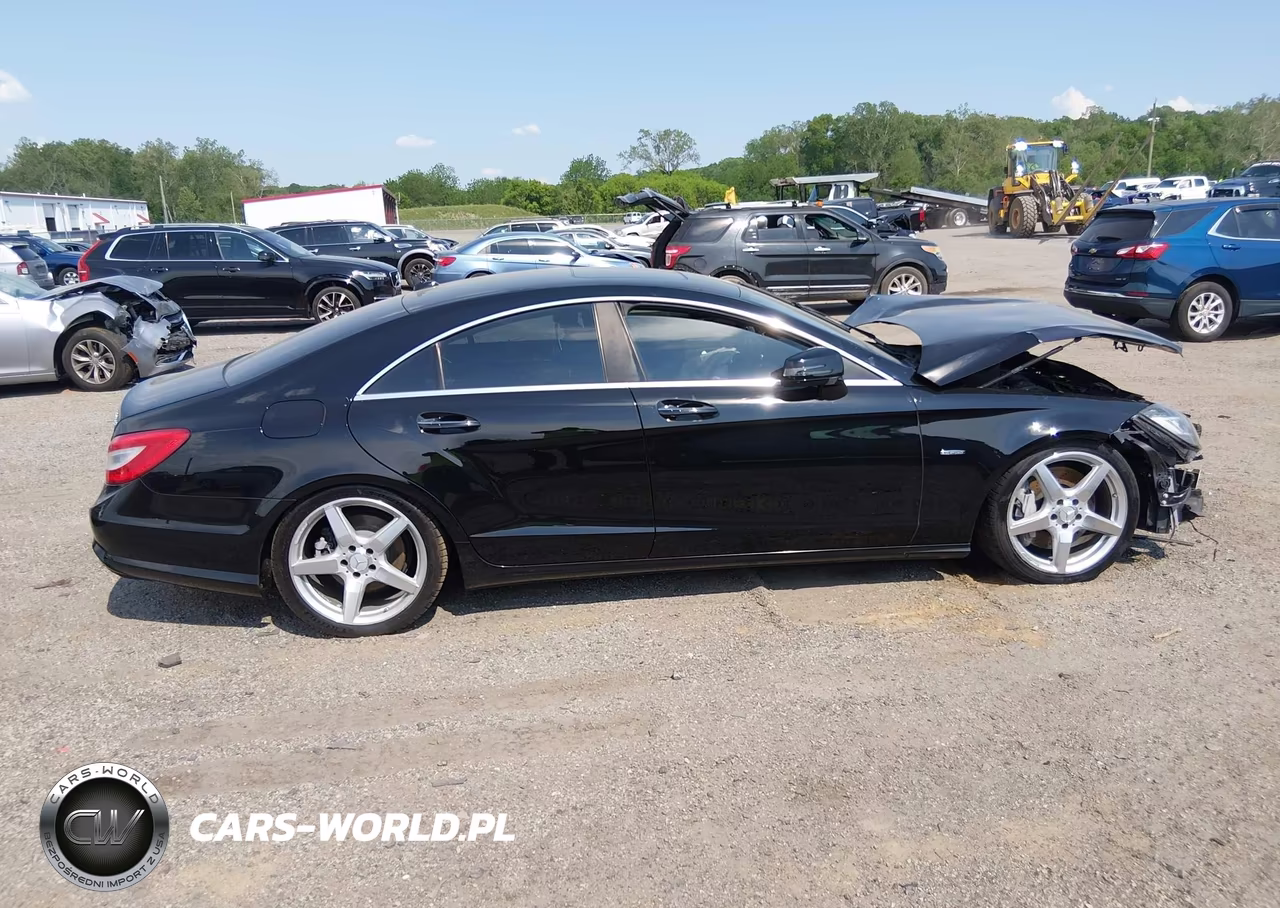 2012 Mercedes-Benz Cls 550 4Matic VIN:WDDLJ9BB6CA046174 - 13