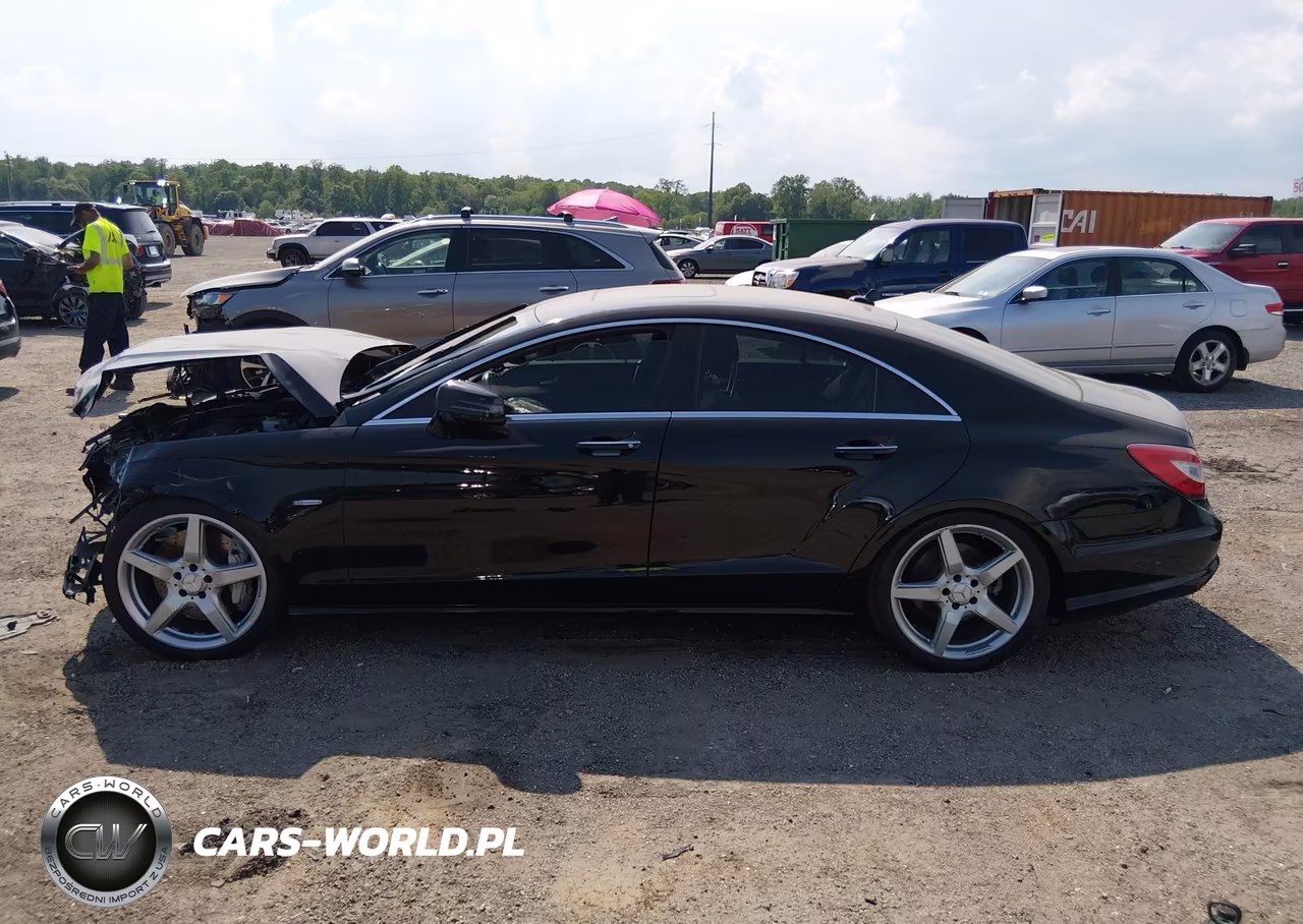 2012 Mercedes-Benz Cls 550 4Matic VIN:WDDLJ9BB6CA046174 - 14