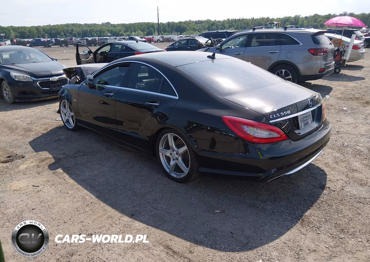 2012 Mercedes-Benz Cls 550 4Matic VIN:WDDLJ9BB6CA046174 - 3