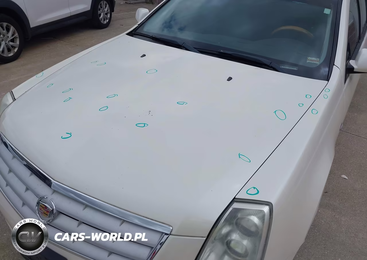 2006 Cadillac Sts V8 VIN:1G6DC67A260112790 - 6