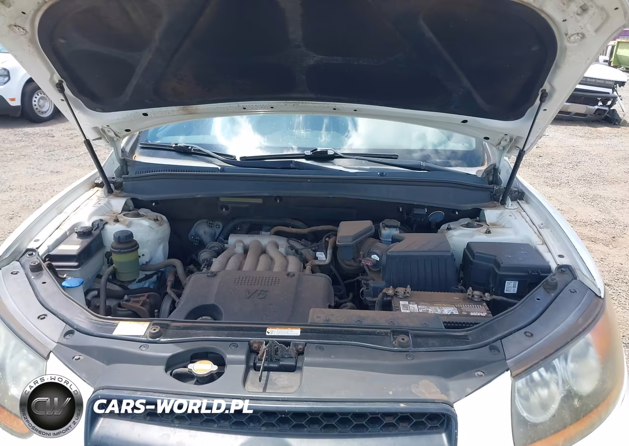 2009 Hyundai Santa Fe Gls VIN:5NMSG13D89H289117 - 10