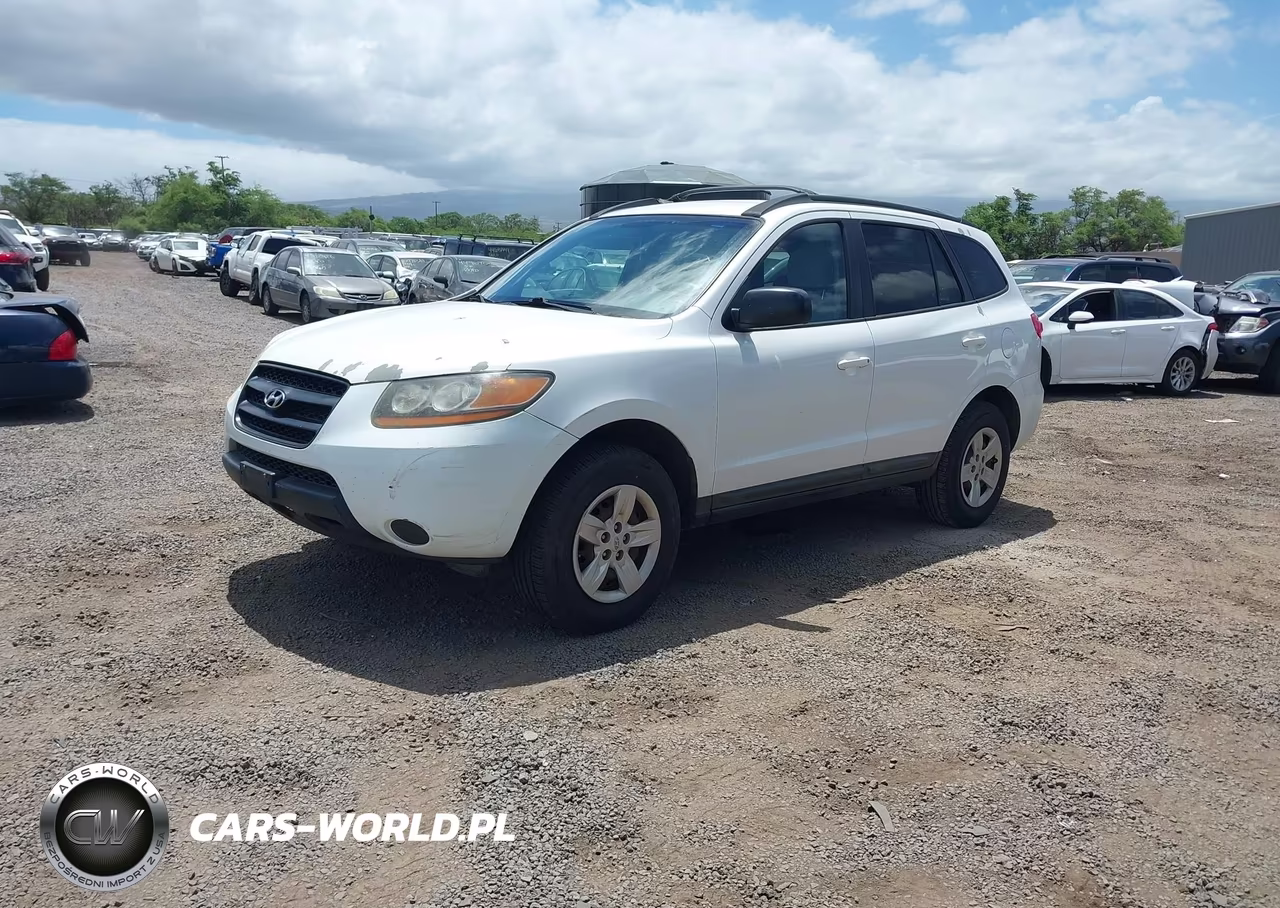 2009 Hyundai Santa Fe Gls VIN:5NMSG13D89H289117 - 2