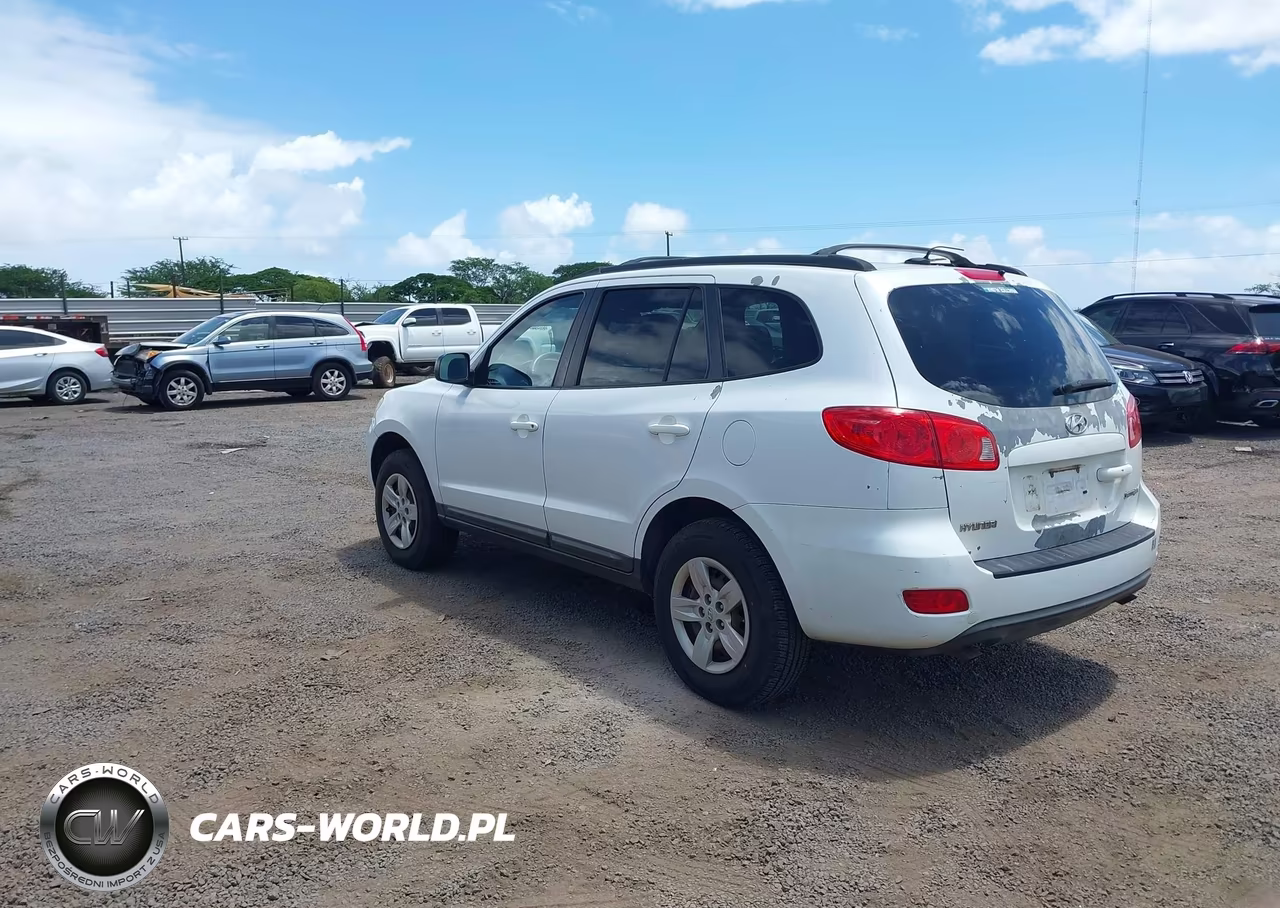2009 Hyundai Santa Fe Gls VIN:5NMSG13D89H289117 - 3