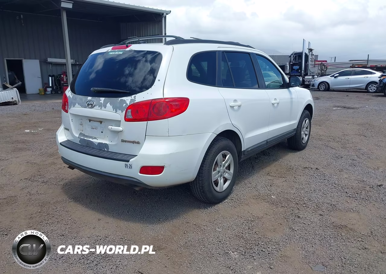 2009 Hyundai Santa Fe Gls VIN:5NMSG13D89H289117 - 4