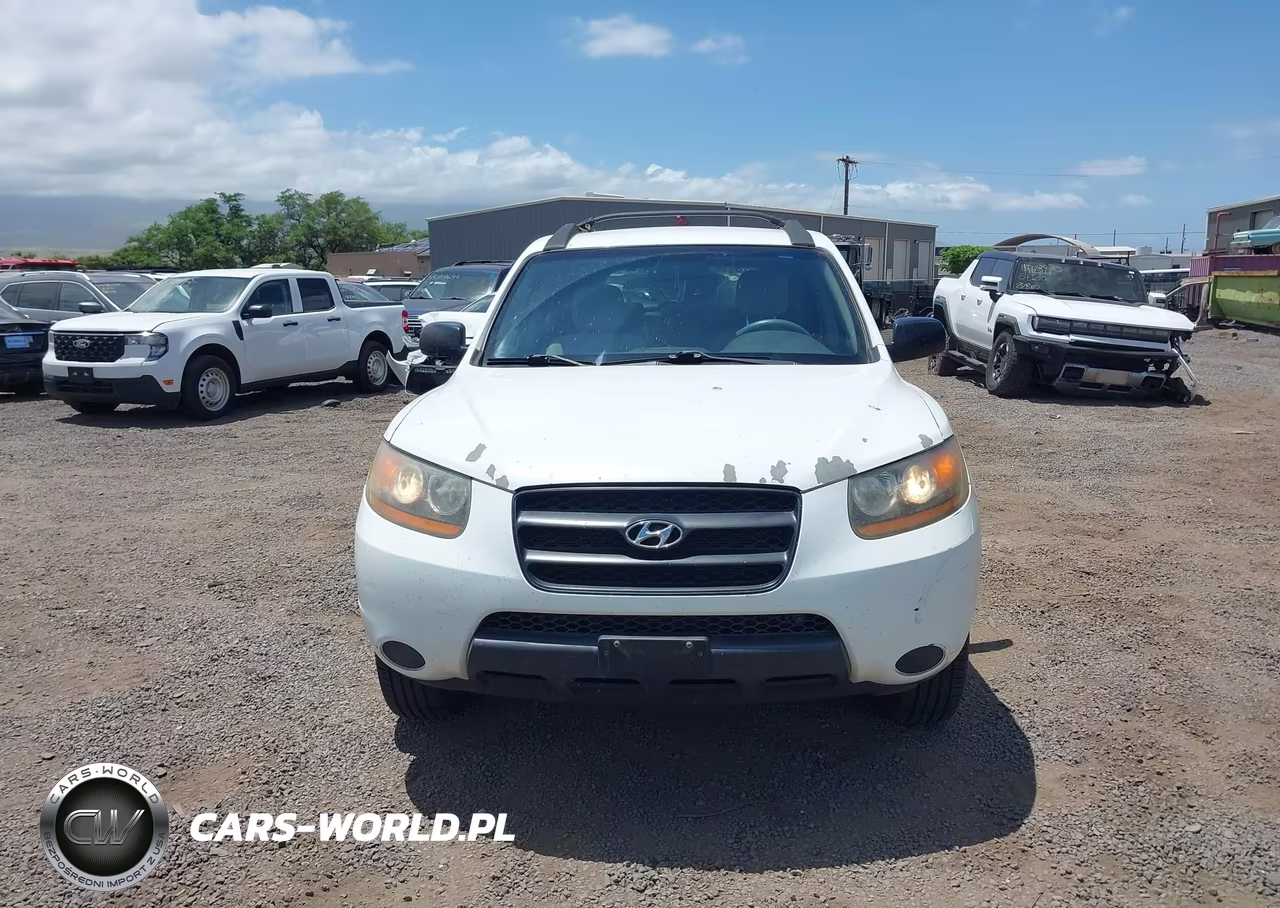 2009 Hyundai Santa Fe Gls VIN:5NMSG13D89H289117 - 6