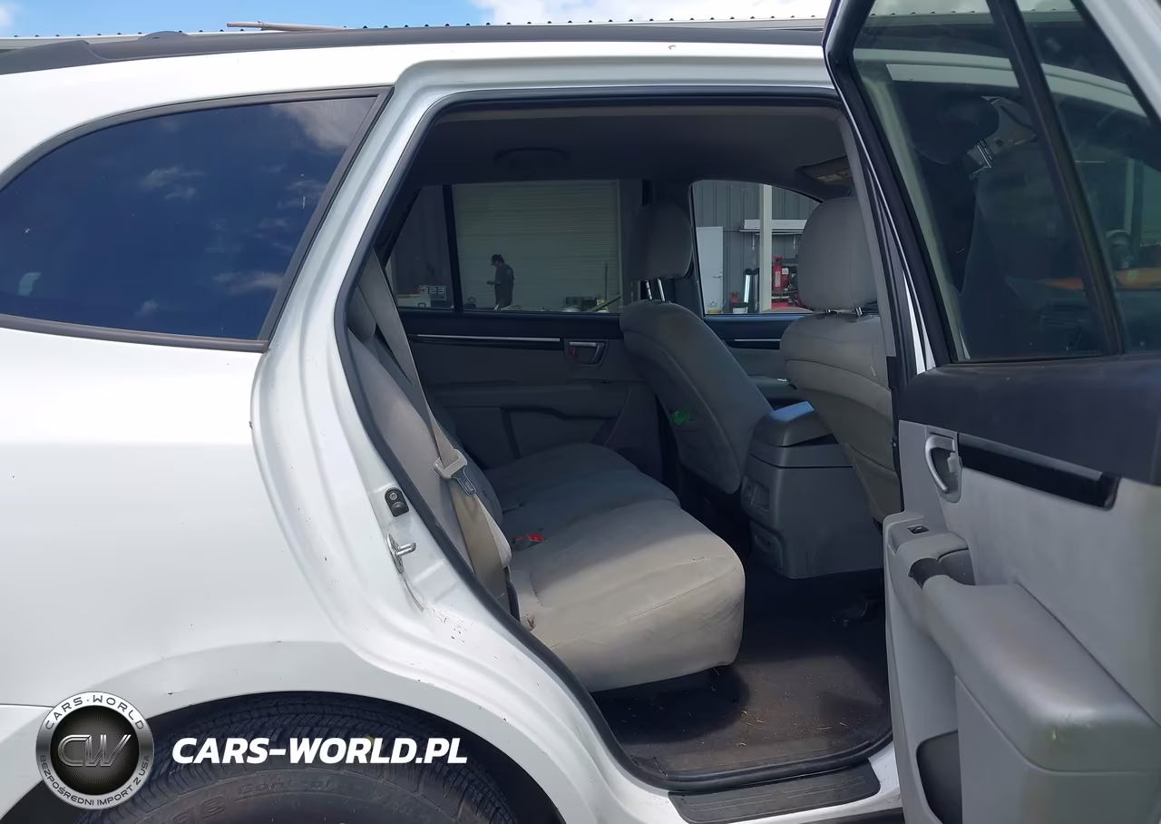 2009 Hyundai Santa Fe Gls VIN:5NMSG13D89H289117 - 8