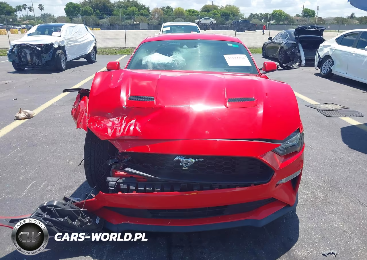 2021 Ford Mustang Ecoboost Premium Fastback VIN:1FA6P8TH9M5103065 - 12