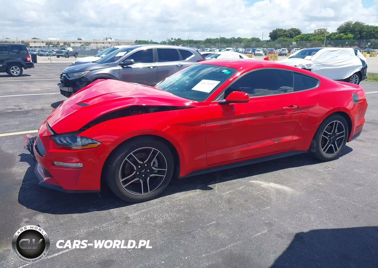 2021 Ford Mustang Ecoboost Premium Fastback VIN:1FA6P8TH9M5103065 - 2