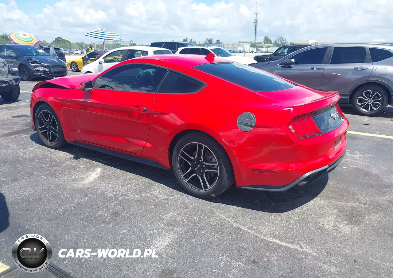 2021 Ford Mustang Ecoboost Premium Fastback VIN:1FA6P8TH9M5103065 - 3