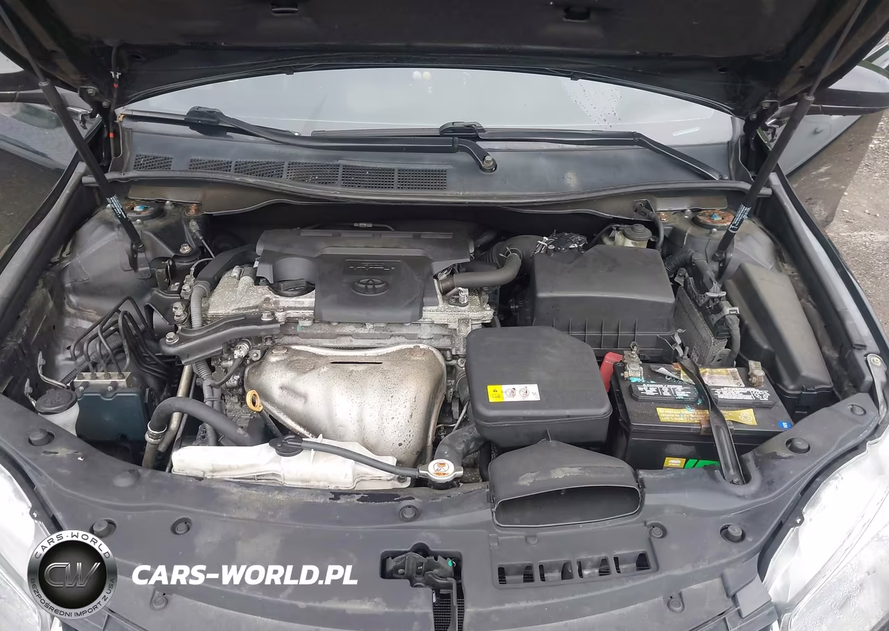 2017 Toyota Camry Se VIN:4T1BF1FK9HU701027 - 10