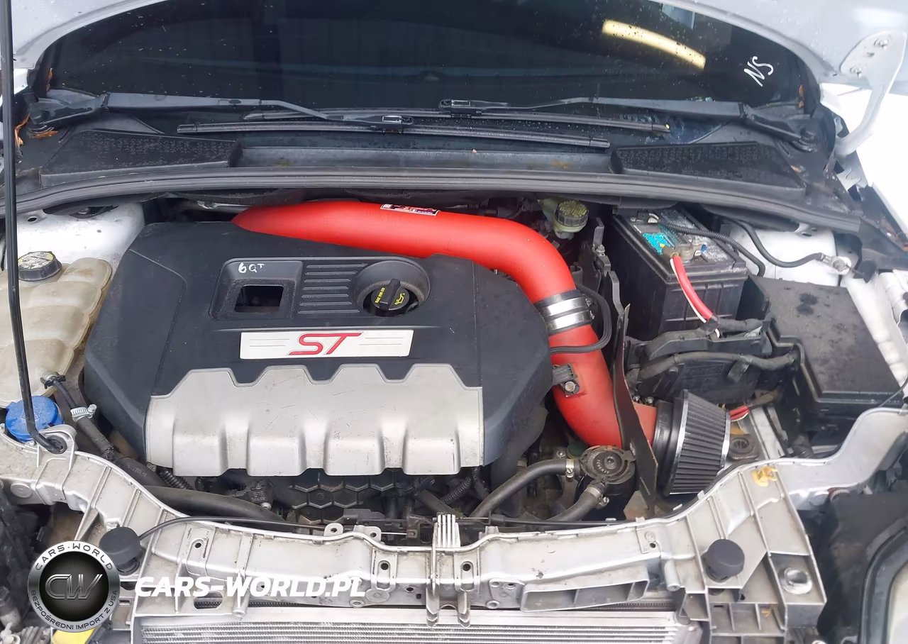 2014 Ford Focus St VIN:1FADP3L93EL135686 - 10