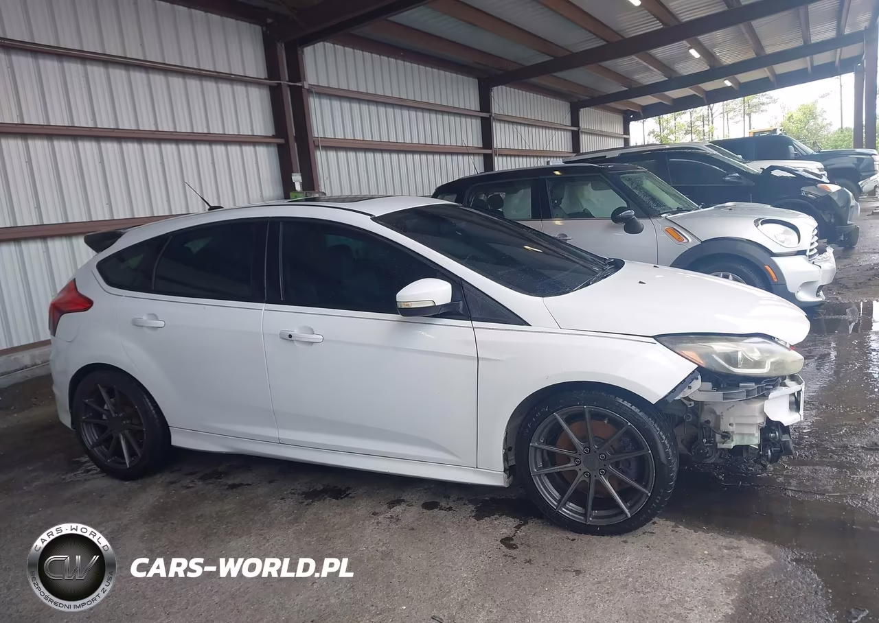 2014 Ford Focus St VIN:1FADP3L93EL135686 - 13