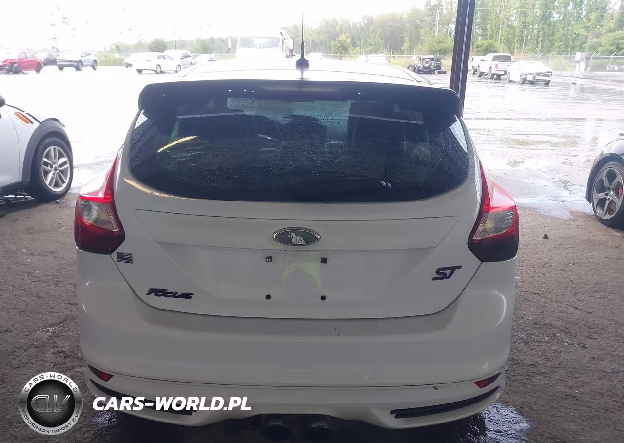 2014 Ford Focus St VIN:1FADP3L93EL135686 - 16