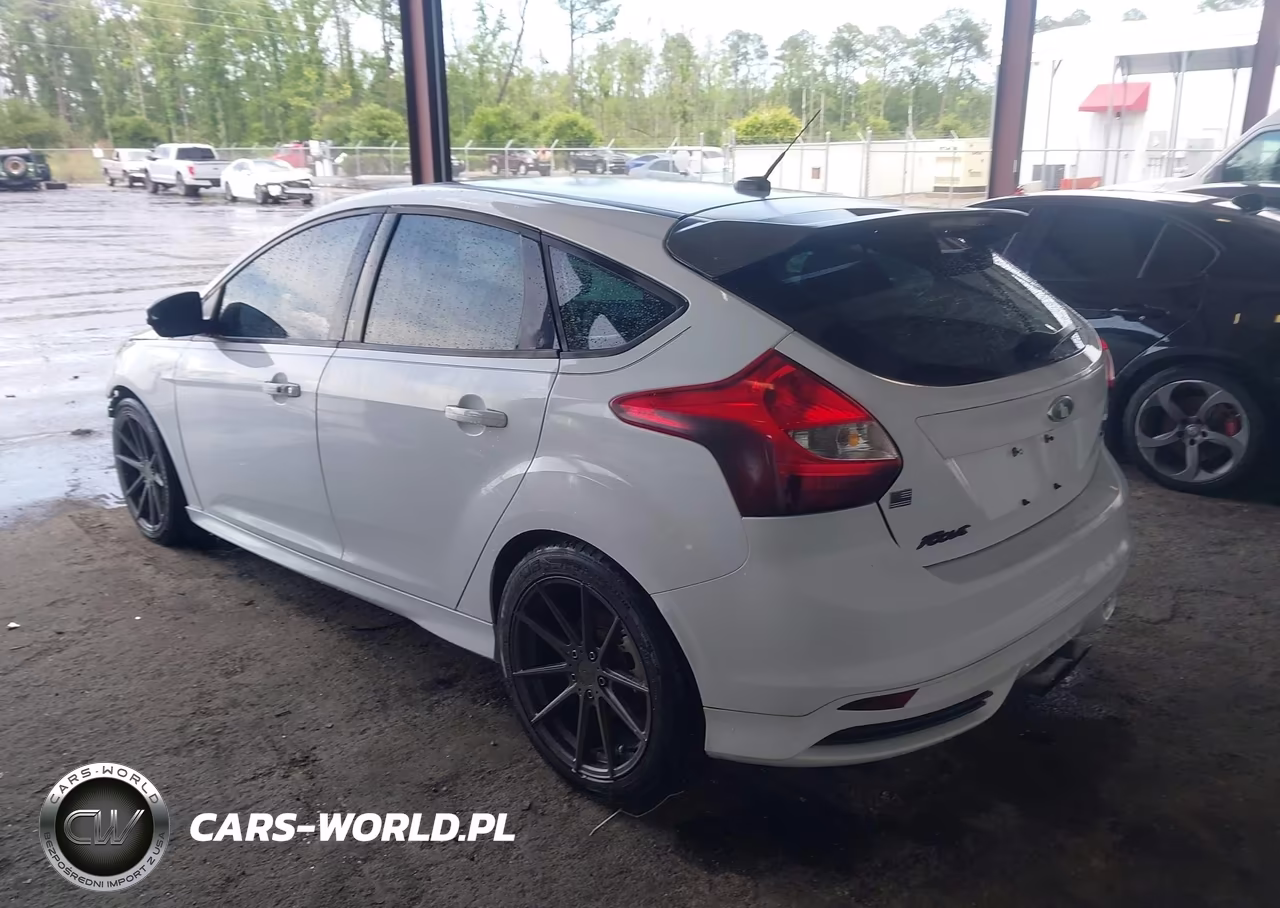 2014 Ford Focus St VIN:1FADP3L93EL135686 - 3