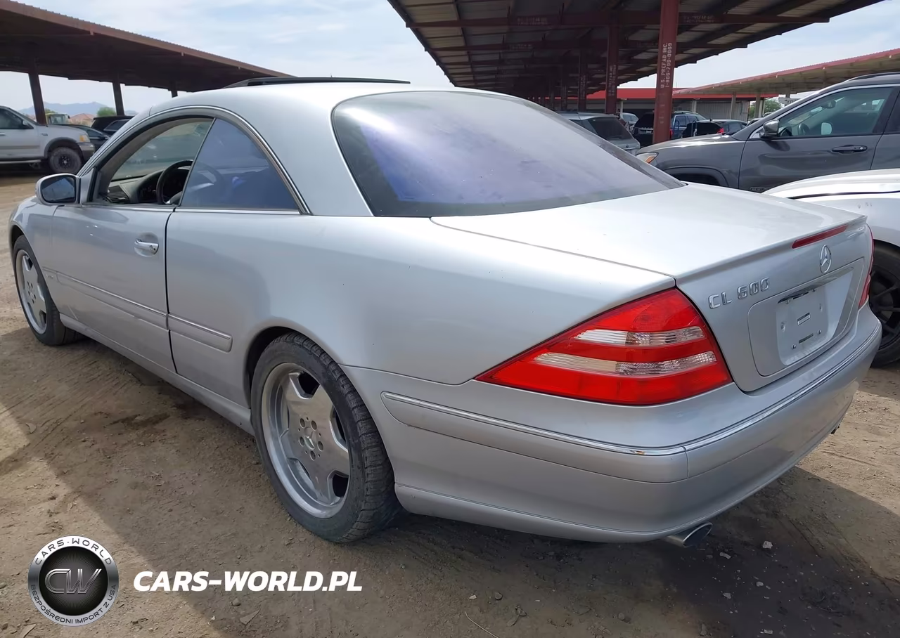 2002 Mercedes-Benz Cl 600 VIN:WDBPJ78J32A020076 - 3