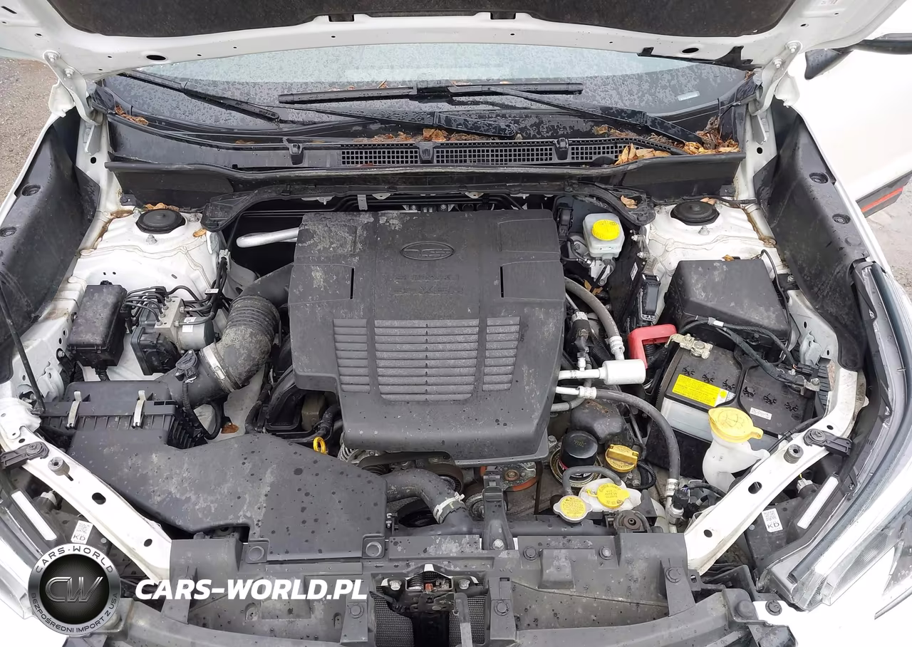 2023 Subaru Forester Sport VIN:JF2SKAJC5PH506082 - 10