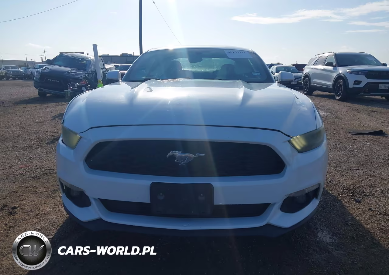 2016 Ford Mustang V6 VIN:1FA6P8AM0G5252050 - 12