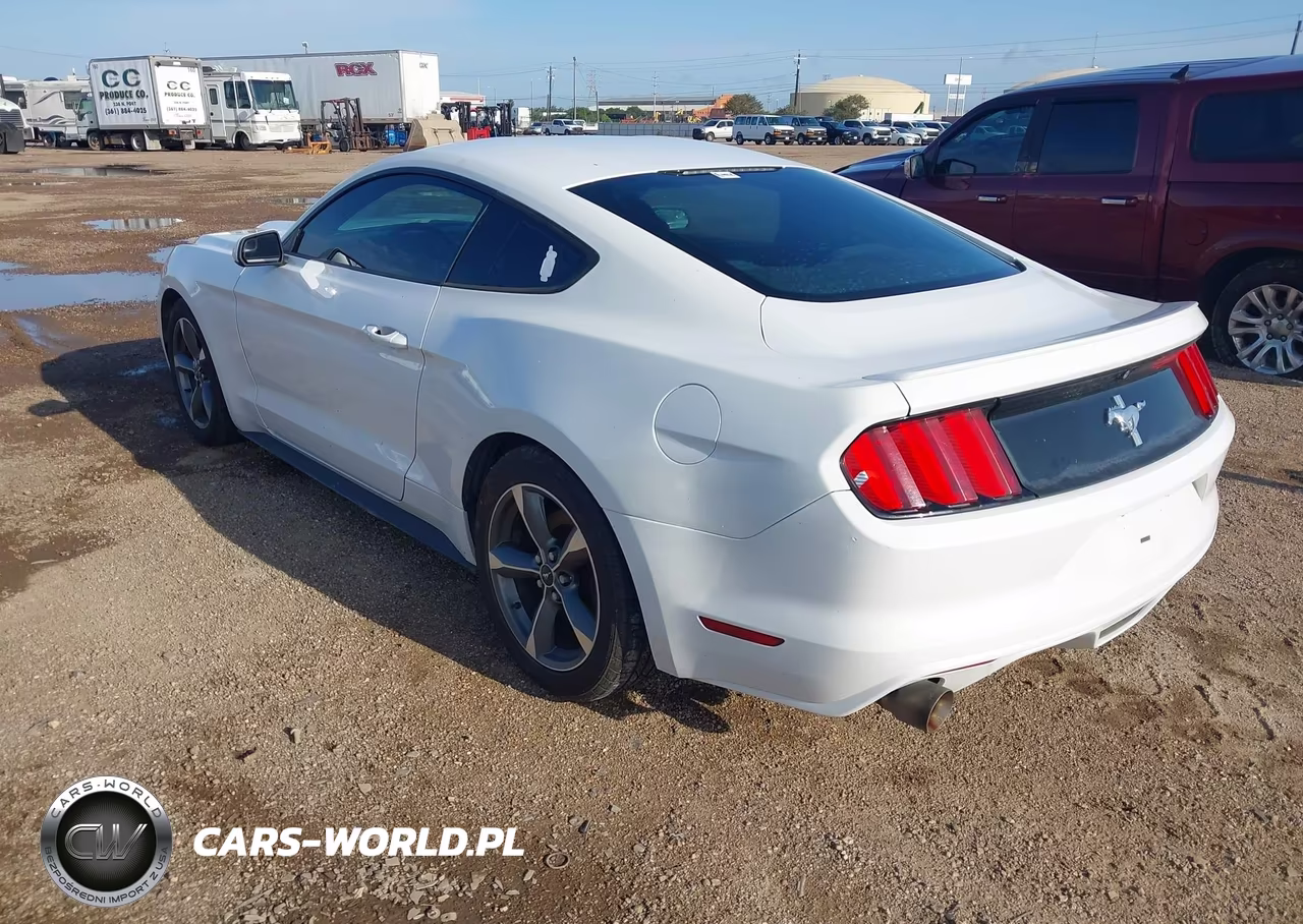 2016 Ford Mustang V6 VIN:1FA6P8AM0G5252050 - 3