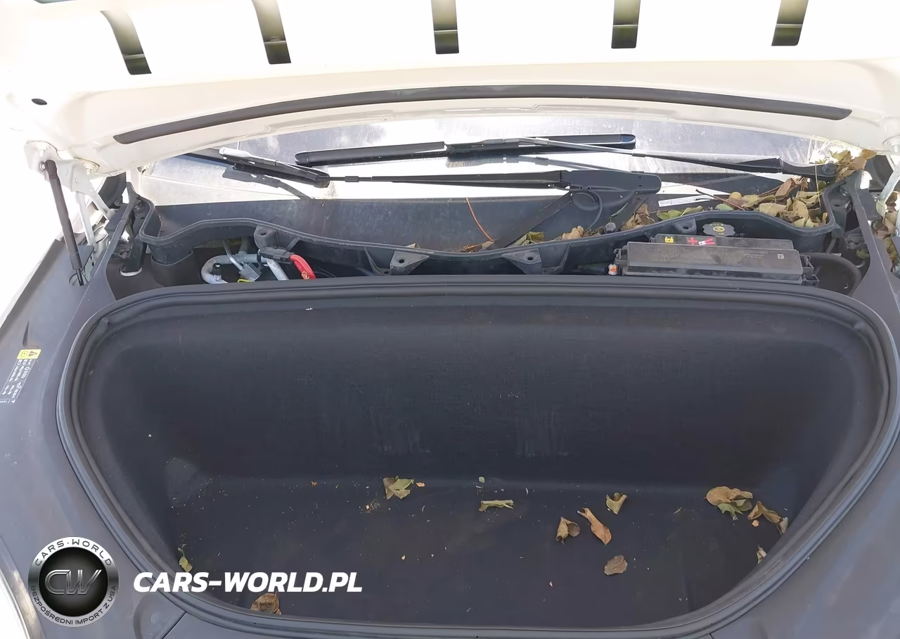 2017 Tesla Model X 100D-75D-90D VIN:5YJXCBE22HF055218 - 10