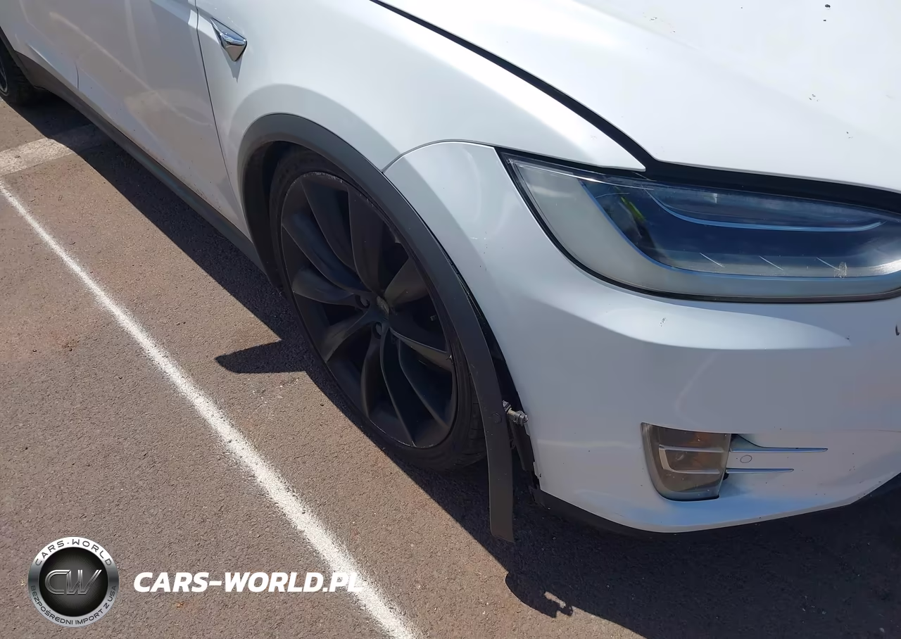 2017 Tesla Model X 100D-75D-90D VIN:5YJXCBE22HF055218 - 6