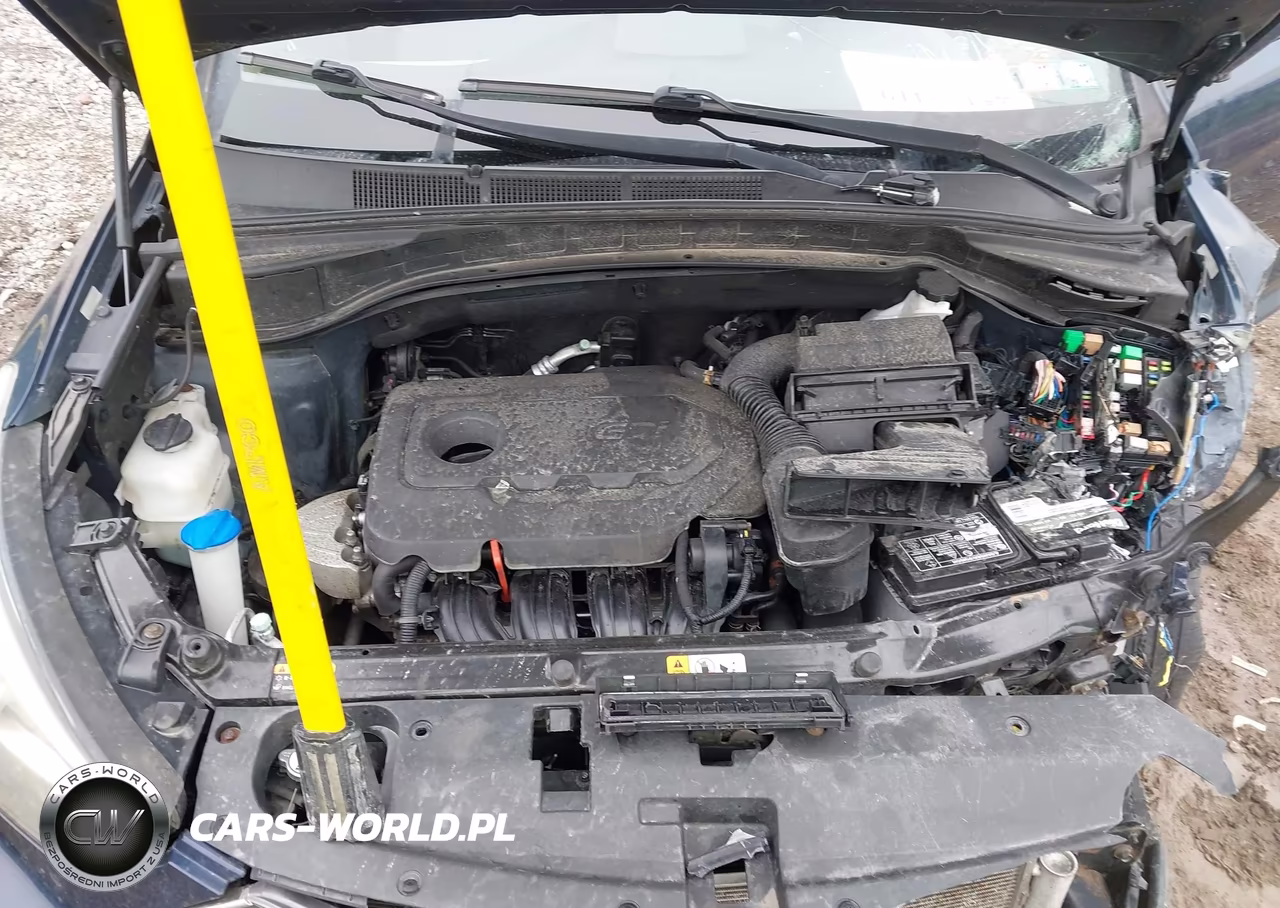 2017 Hyundai Santa Fe Sport 2.4L VIN:5XYZTDLB5HG392899 - 10