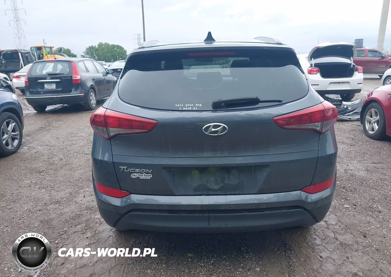 2018 Hyundai Tucson Sel VIN:KM8J33A43JU620569 - 16