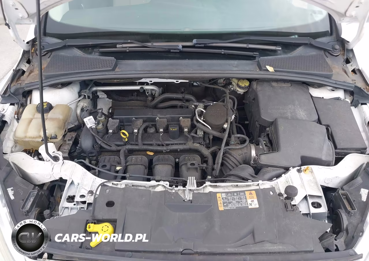 2016 Ford Focus Titanium VIN:1FADP3N23GL307041 - 10