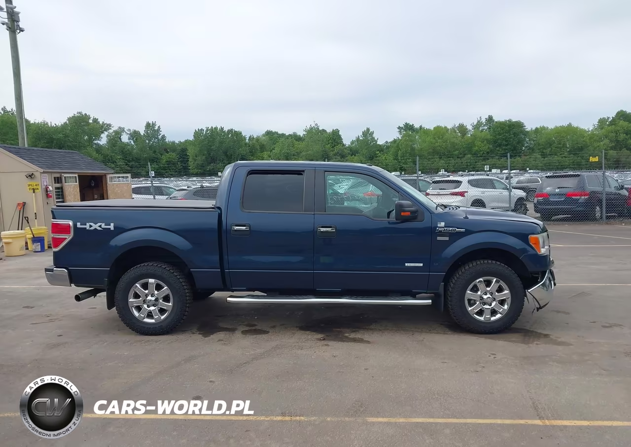 2013 Ford F-150 Xlt VIN:1FTFW1ET0DKD76533 - 13