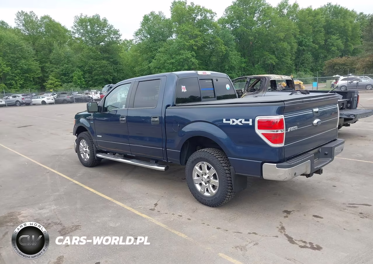 2013 Ford F-150 Xlt VIN:1FTFW1ET0DKD76533 - 3