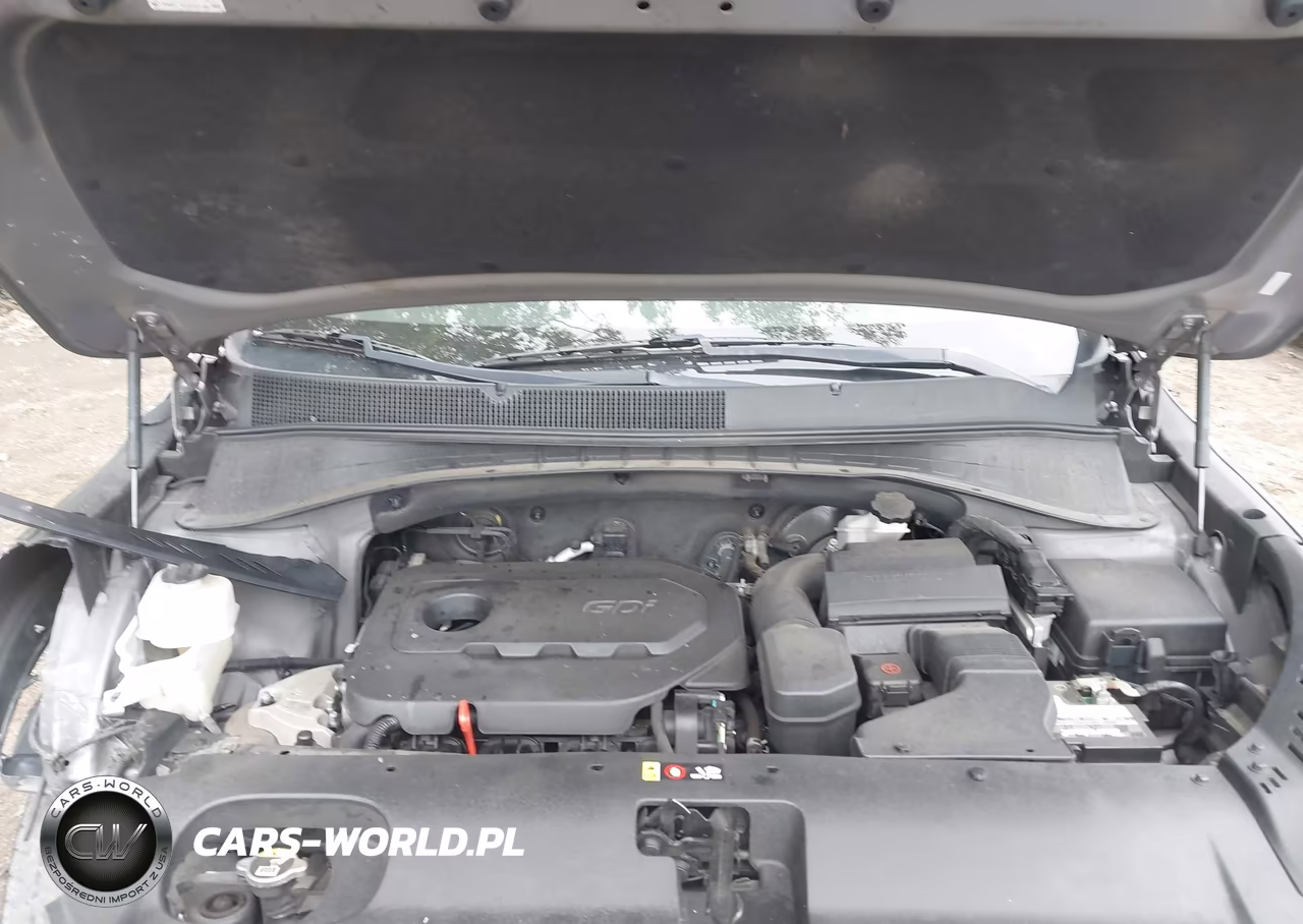2019 Kia Sorento 2.4L L VIN:5XYPG4A39KG479641 - 10